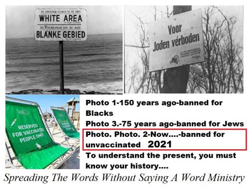 155430584_561032514814381_7040451731542069970_n