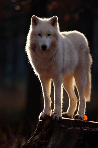 14906973_10205648663216055_668089515485170740_n