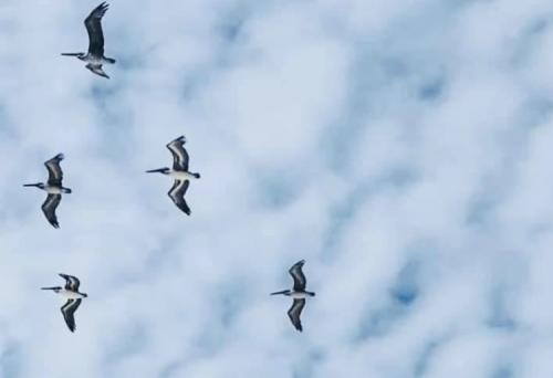 00:30:26 GMT-0500 (EST).image