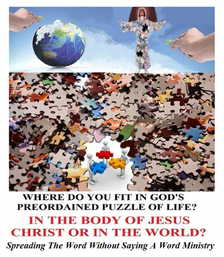 132830174_378051499959303_5775604159488917874_n