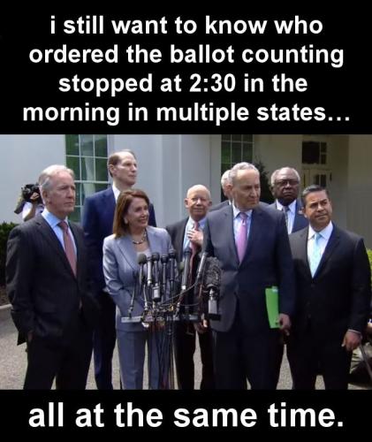 voterfraud154