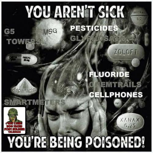 01:52:08 GMT-0600 (CST)