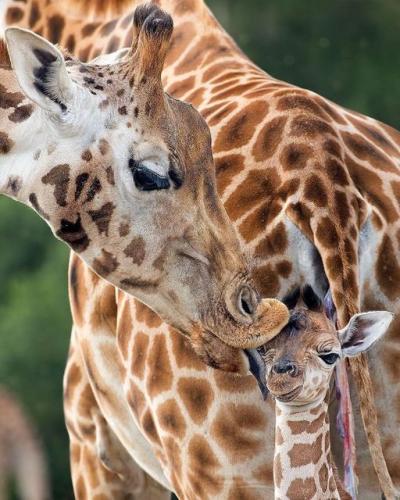 165982545_1831578640341673_5182602515083178603_o