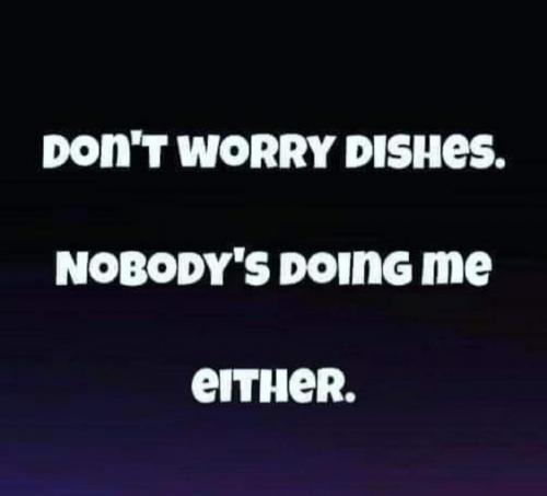 21:50:47 GMT-0400 (EDT)