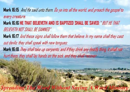 155273459_470462864088127_2415653210136334277_n