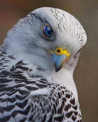 17:10:20 GMT-0600 (CST)