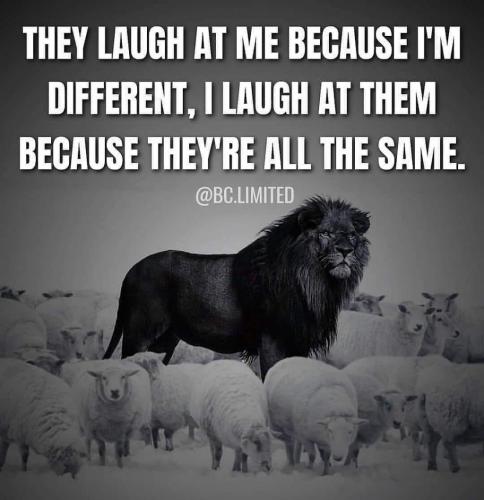 23:36:45 GMT-0400 (AST)