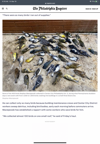 5F267D98-7A99-4799-B393-A1F2795A8E34