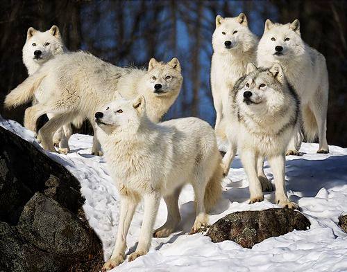 13612210_10204918678086883_7863790419877782565_n