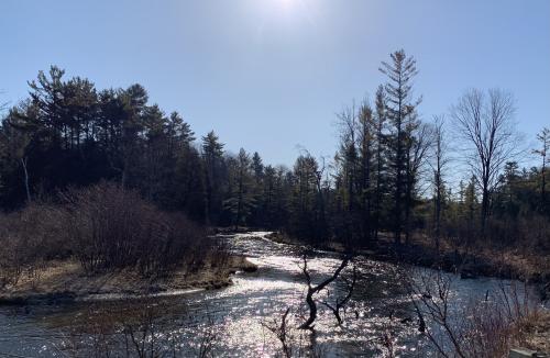 7657F65E-B481-435A-A300-2B4264E7626B