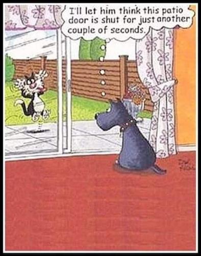 13:45:54 GMT-0700 (PDT)