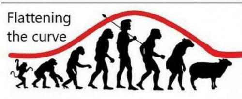 19:31:37 GMT-0500 (EST).image