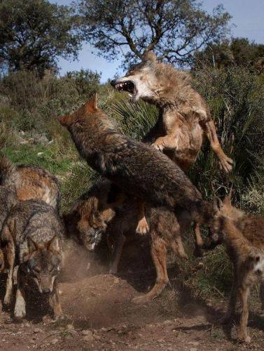 13907040_10205059518887815_1723177554296581732_n