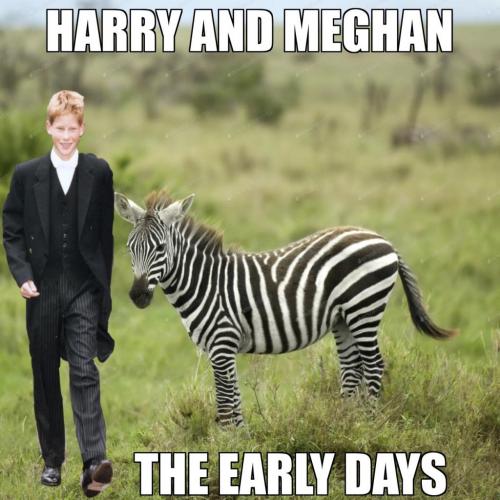 620F617B-C8CA-4CD1-B790-7E7423EC629B