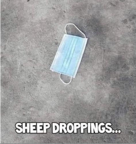 23:08:09 GMT-0700 (PDT).image