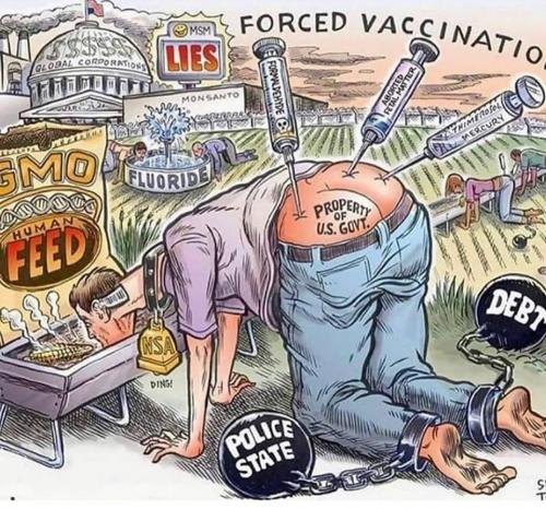 shotnazi dark winter bill gates corona wuhan shot nazi forced vaccination covid gmo msm lies monsanto police state debt covidity