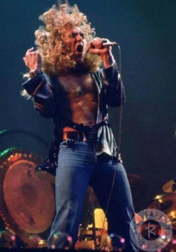 12990916_10204480830380964_1220023343439809874_n