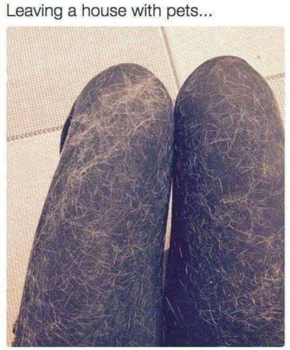 15:20:33 GMT-0400 (EDT)