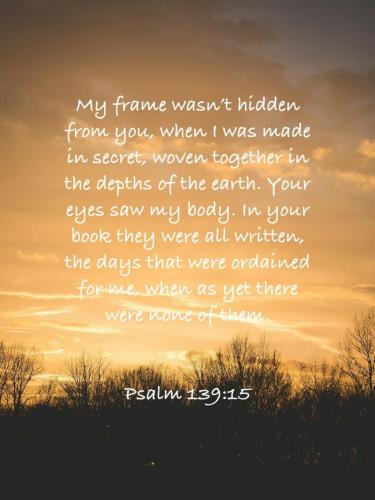 14:43:03 GMT-0500 (EST)