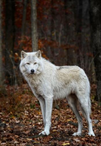 cbb3649b8e68b12ecec620cc7b25fcf5