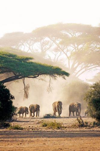 159365869_1529935490539129_4820236254756757319_n