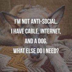 15:21:40 GMT-0400 (EDT)