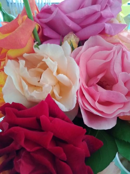 19:04:23 GMT+1100 (AEDT)