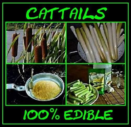 11:19:19 GMT-0500 (CDT)