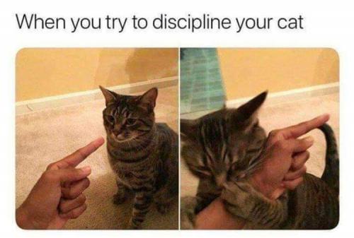 17:32:09 GMT-0500 (EST)