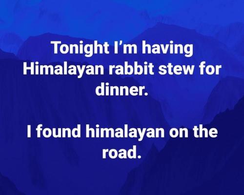 15:42:05 GMT-0500 (EST)