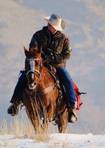 193dab19f6fd84719769b7b15a26f1e2