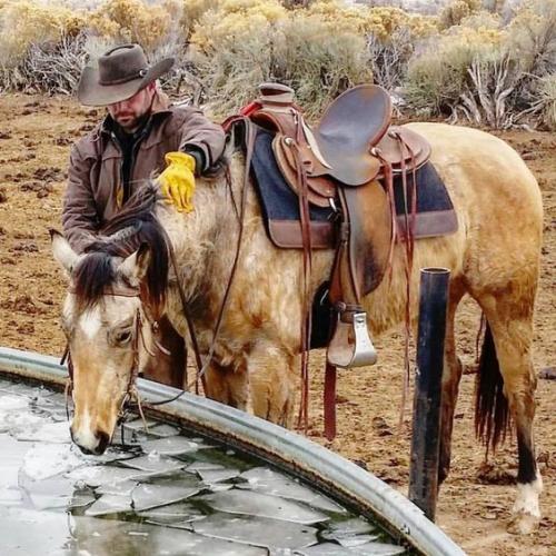 3c863efc3e0da68db2c9553eb4a27128