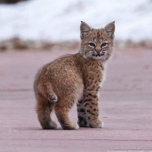 23:36:31 GMT-0500 (CDT)