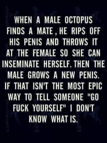 18:49:10 GMT-0800 (PST)