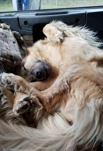 04:28:21 GMT-0600 (CST)