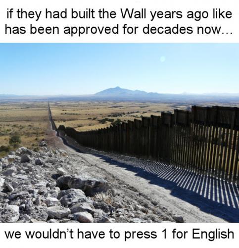 the wall144