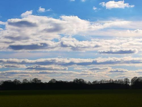 15:38:50 GMT+0100 (CET)