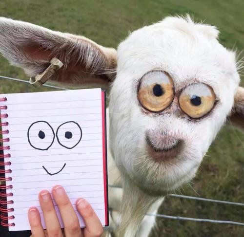 17:06:51 GMT-0500 (EST)