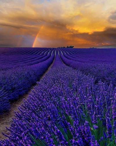 164056344_125533062852581_2583767869168630708_o