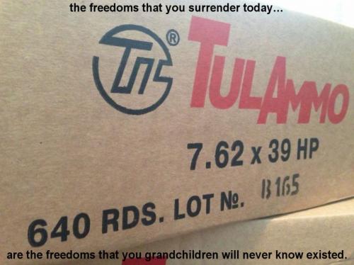 the freedoms that you surrender today