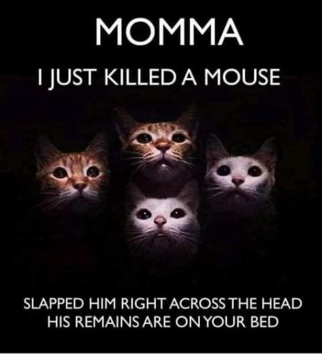 20:51:25 GMT-0700 (PDT)