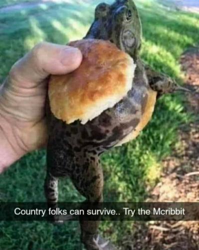 17:20:47 GMT-0500 (EST).image