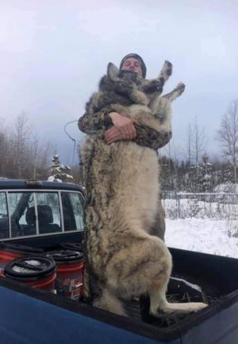 21:22:43 GMT-0800 (AKDT)