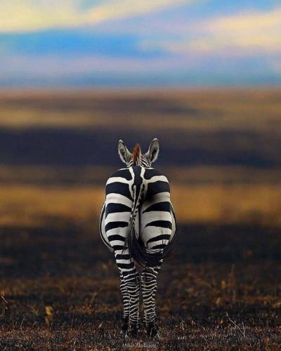 162412182_1825169580982579_7765454672543441293_o