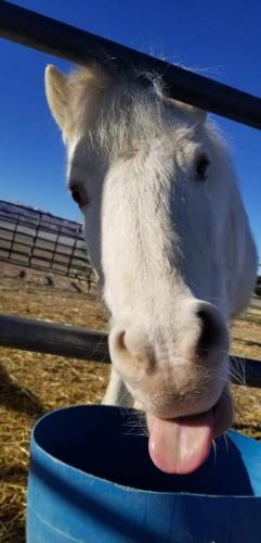 07:39:25 GMT-0800 (PST).image