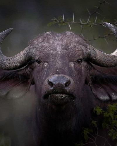 156861074_1811995862299951_4356674361522433738_o