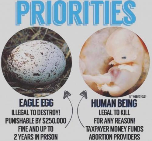 92666995_126620428976143_5977775533142835200_o