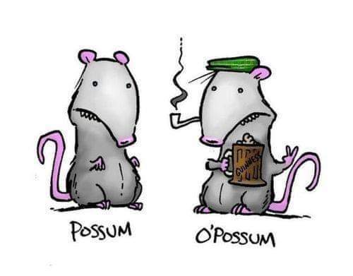 13:34:39 GMT-0500 (CDT)