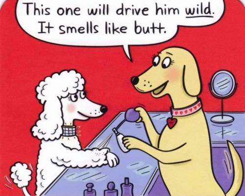 13:49:13 GMT-0600 (CST)