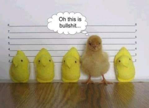 16:39:17 GMT-0700 (PDT)